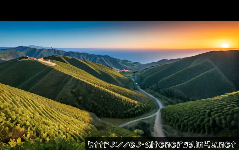대체에너지 기술의 글로벌 경쟁력 관련 이미지 2